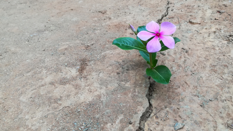 The Power of a Fresh Start: Building the Life You Deserve After Divorce